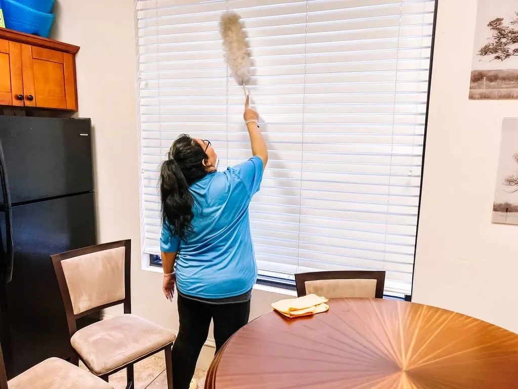 dusting window