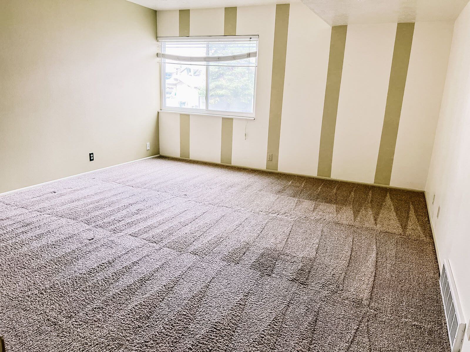 clean carpet